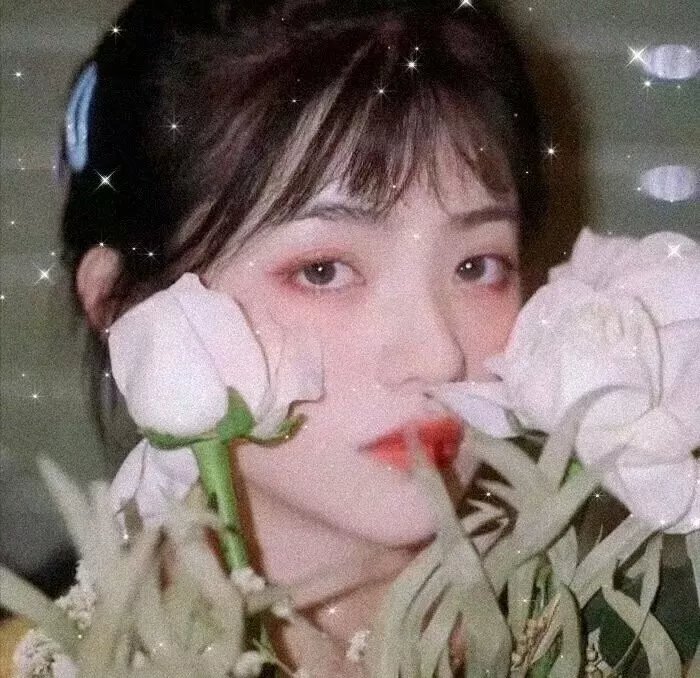 栀子花白兰花
